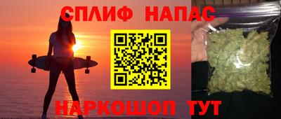 Альфа ПВП Сланцы