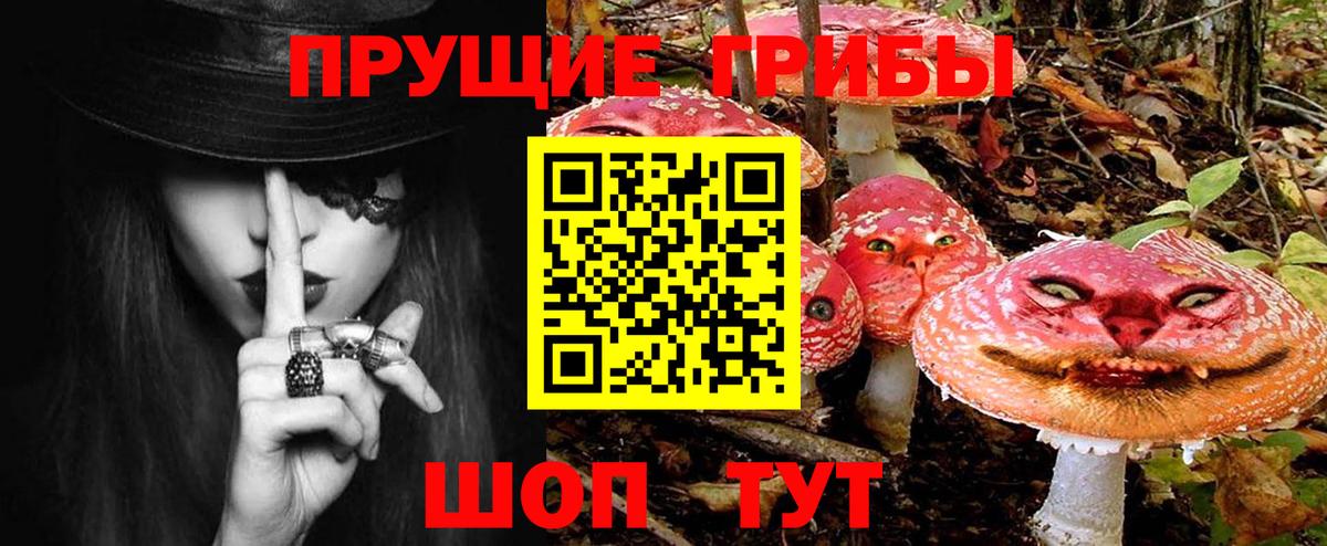 Галлюциногенные грибы Cubensis Новокубанск